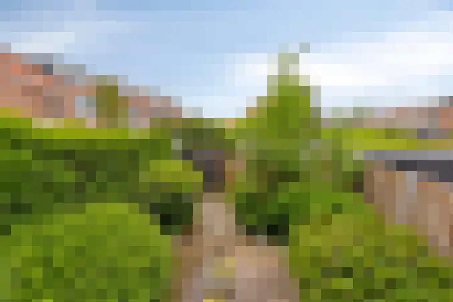 De Manning 30 Heerjansdam thumbnail 20