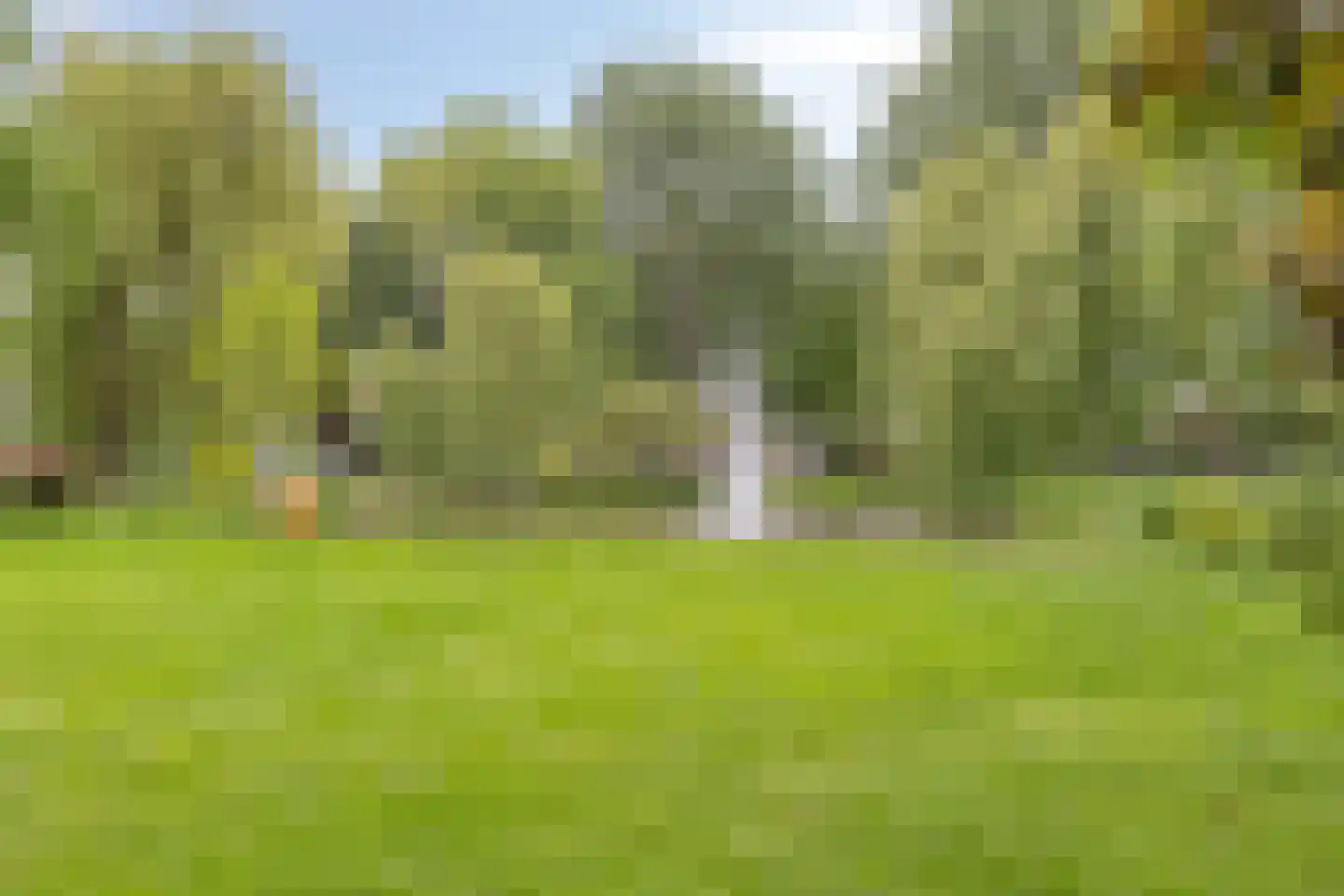 De Manning 30 Heerjansdam thumbnail 31