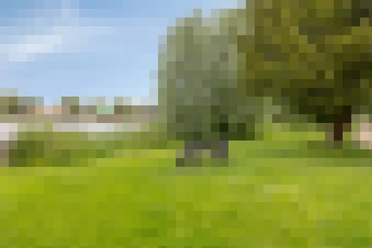 De Manning 30 Heerjansdam thumbnail 33