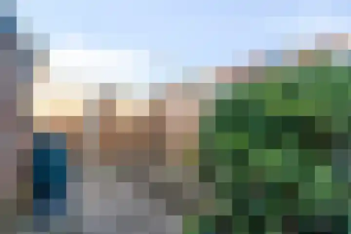 De Manning 49 Heerjansdam thumbnail 26
