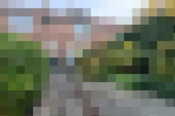 De Manning 49 Heerjansdam thumbnail 27