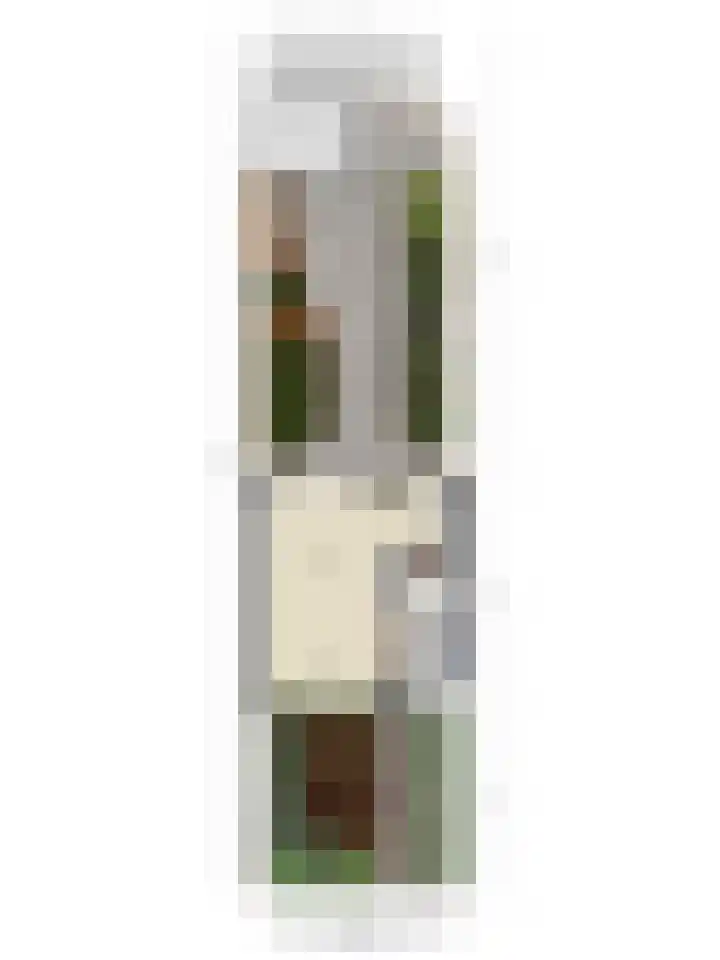 De Manning 49 Heerjansdam thumbnail 34
