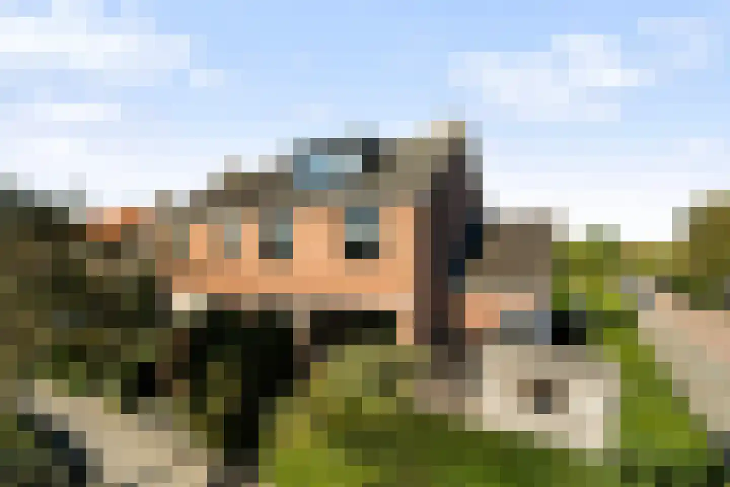 De Manning 55 Heerjansdam thumbnail 43