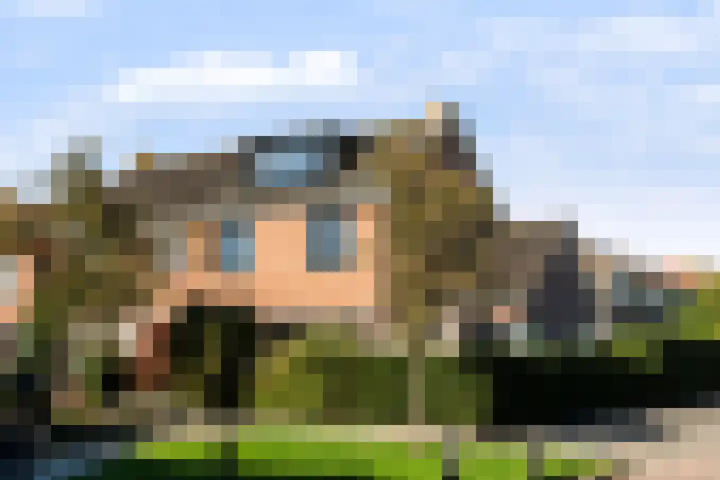 De Manning 55 Heerjansdam thumbnail 5