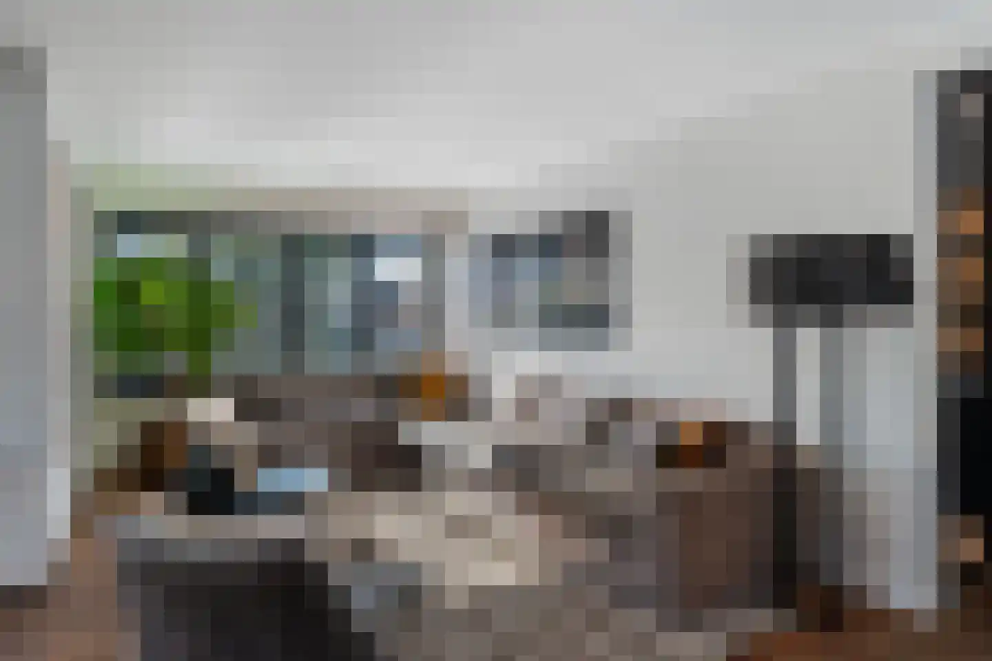 De Manning 55 Heerjansdam thumbnail 8
