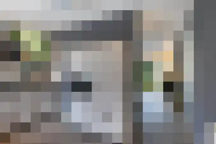 De Mar 10 Easterlittens thumbnail 12