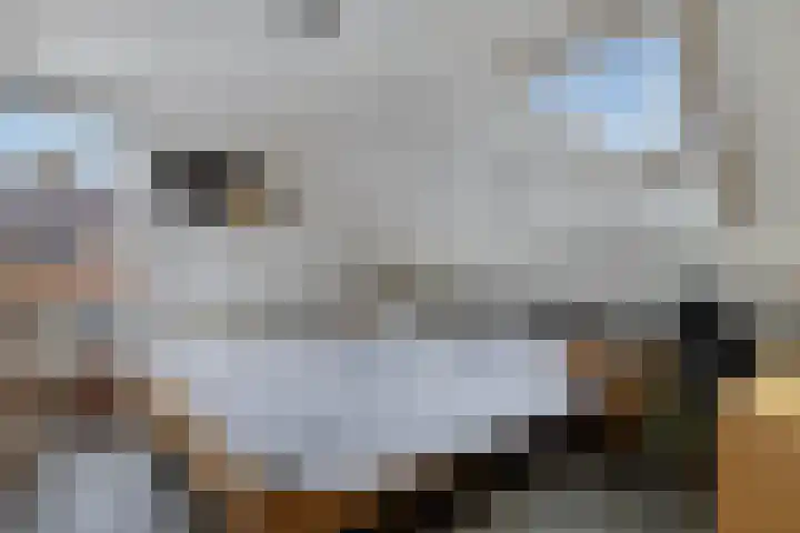 De Mar 10 Easterlittens thumbnail 25