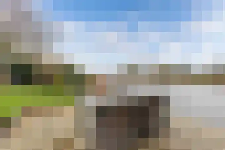 De Mar 10 Easterlittens thumbnail 40