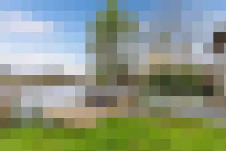 De Mar 10 Easterlittens thumbnail 47