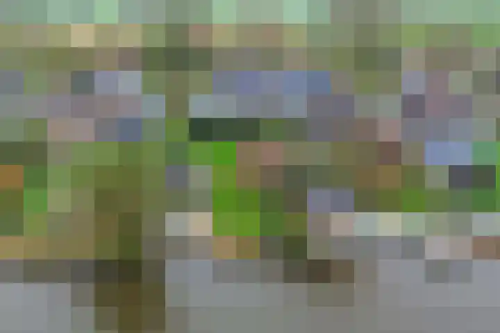 De Mar 10 Easterlittens thumbnail 49