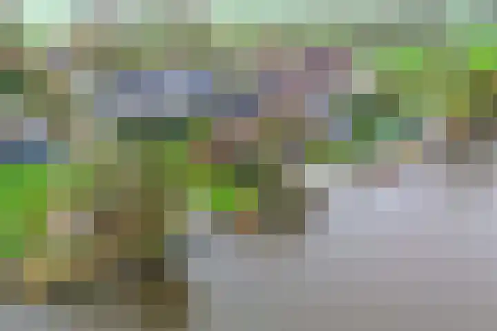 De Mar 10 Easterlittens thumbnail 50