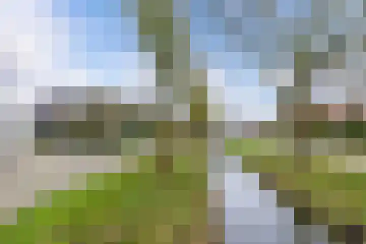 De Mar 10 Easterlittens thumbnail 53