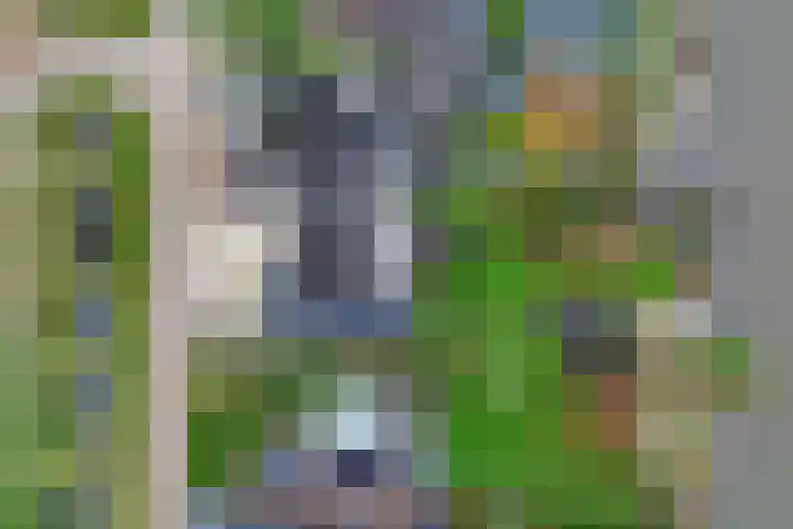 De Mar 10 Easterlittens thumbnail 58