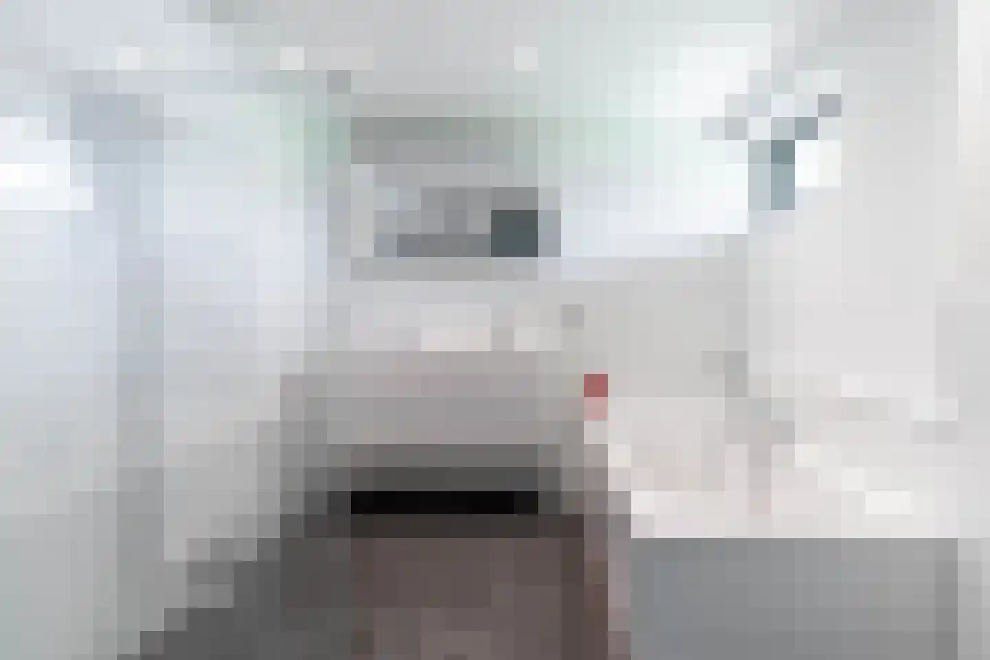 de Mare 21 Rijswijk thumbnail 14
