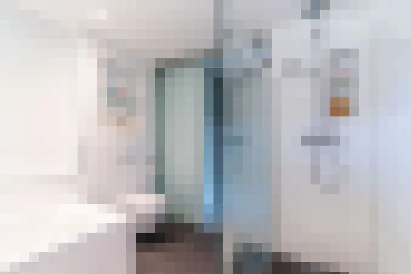 de Mare 21 Rijswijk thumbnail 15