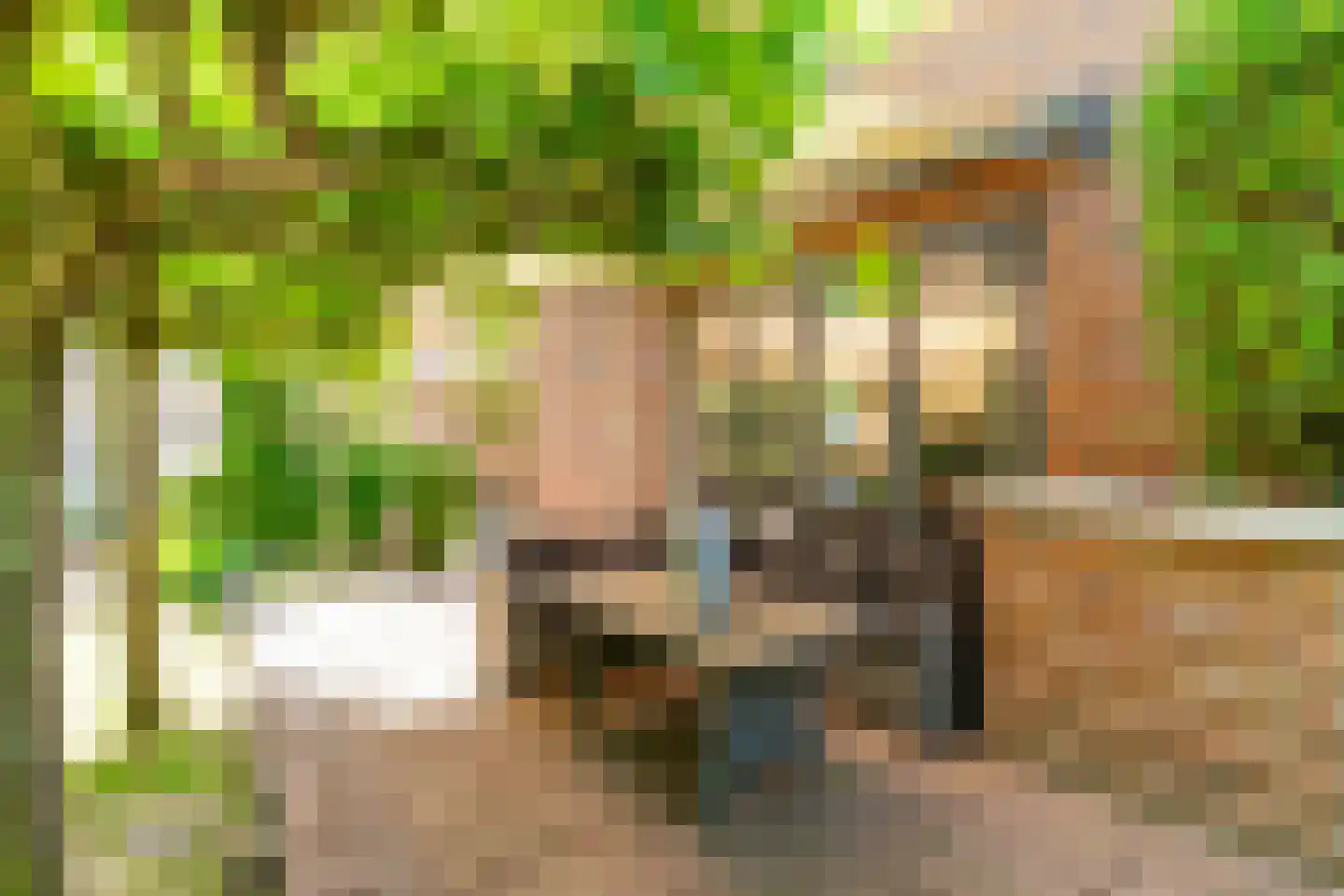 de Mare 21 Rijswijk thumbnail 24