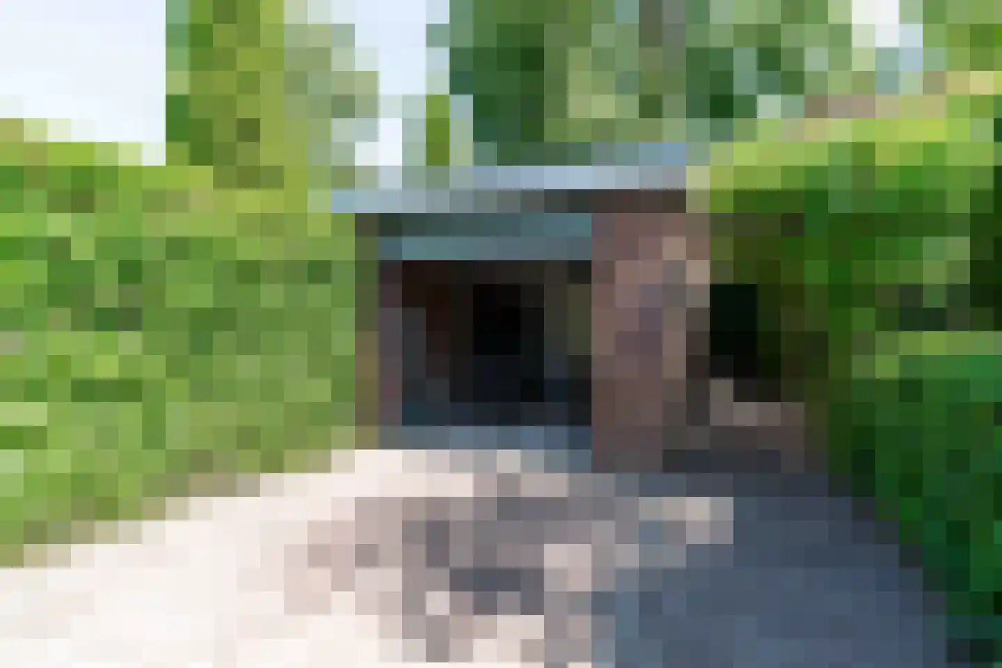 de Mare 21 Rijswijk thumbnail 26