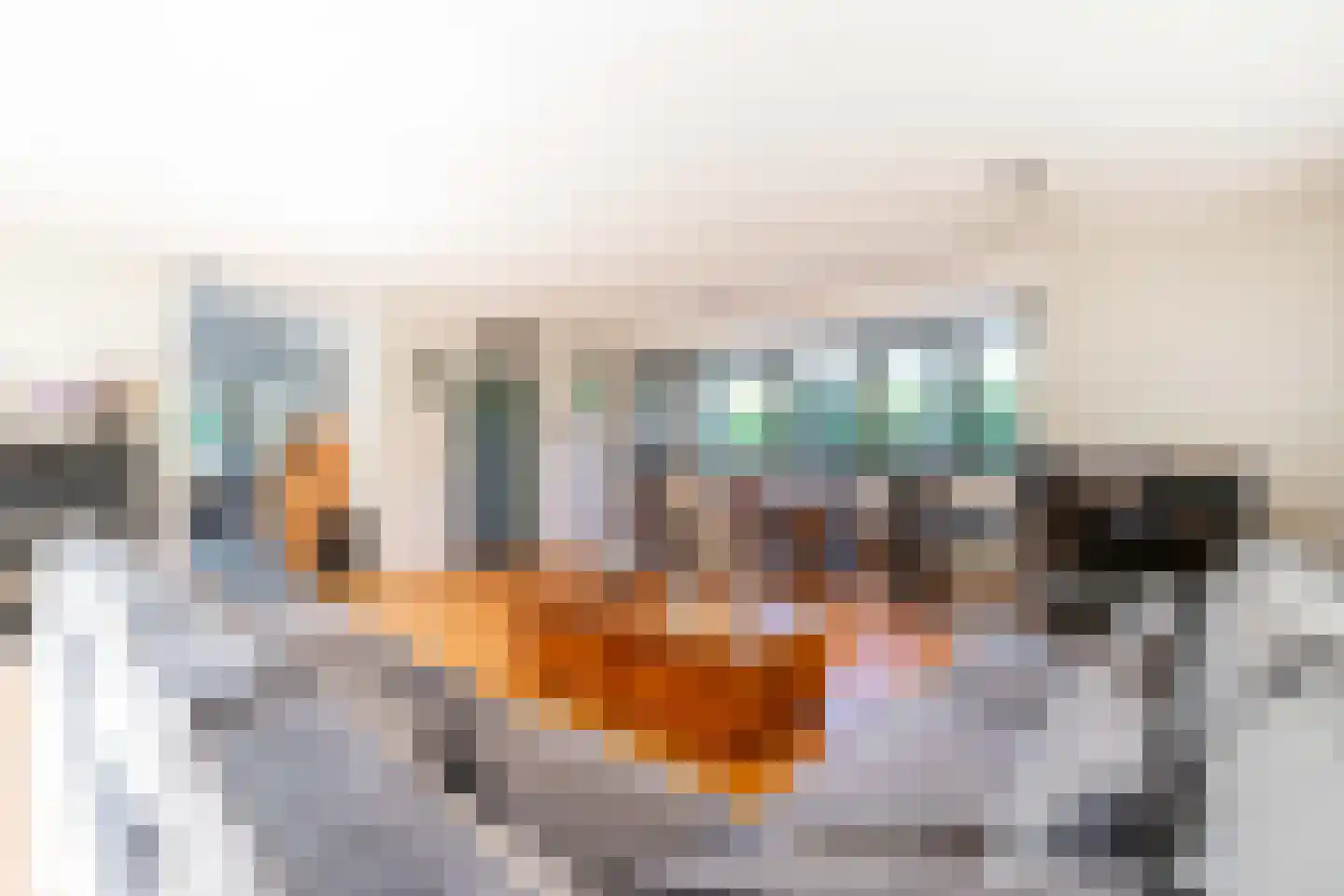 de Mare 21 Rijswijk thumbnail 7