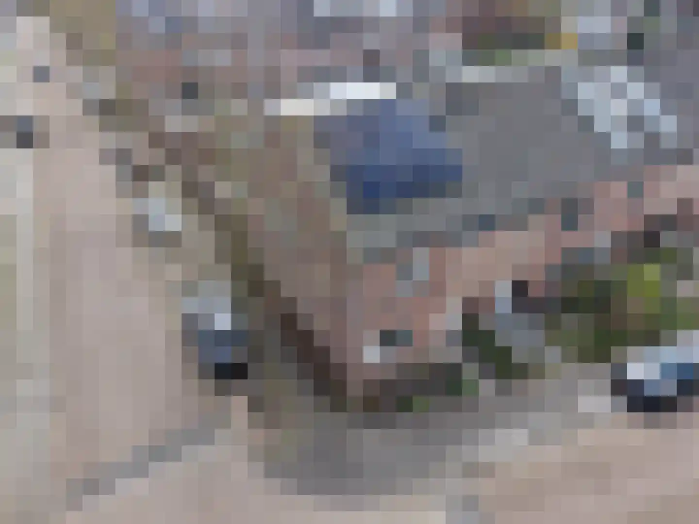 De Mark 1 Goirle thumbnail 44