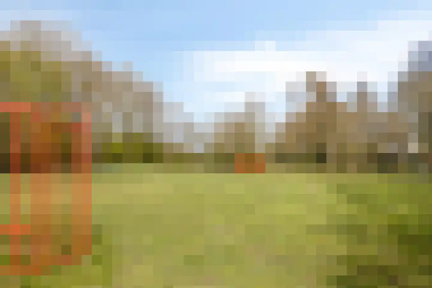De Mark 1 Goirle thumbnail 45