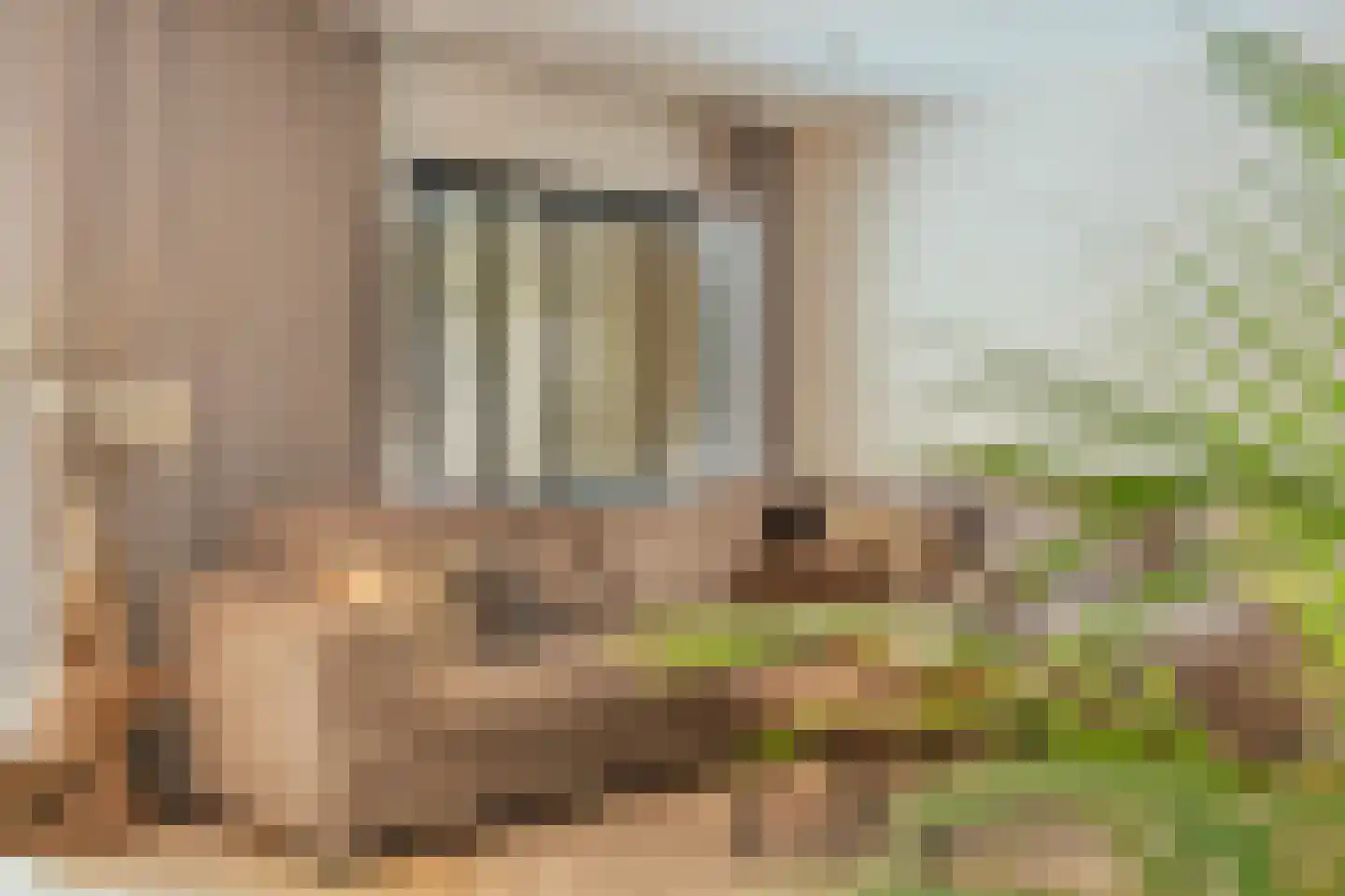 De Mark 22 Goirle thumbnail 20