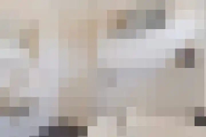 De Mark 34 Goirle thumbnail 13