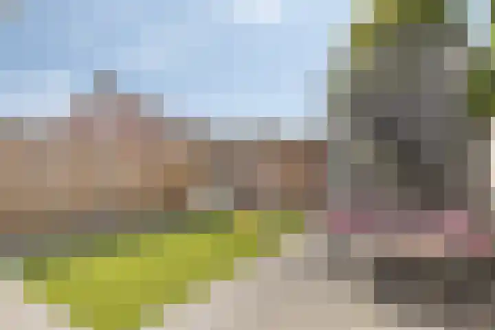 De Mark 34 Goirle thumbnail 19