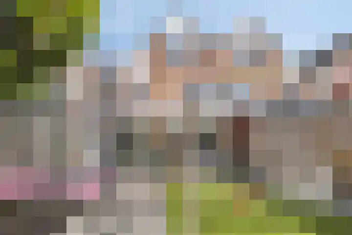 De Mark 34 Goirle thumbnail 20