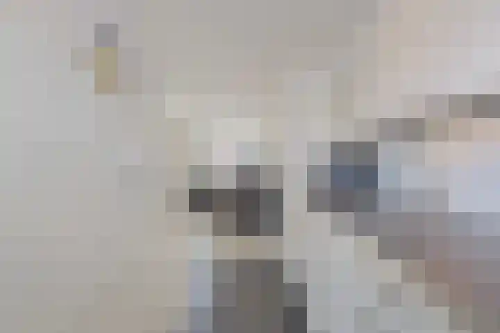 De Mark 34 Goirle thumbnail 8