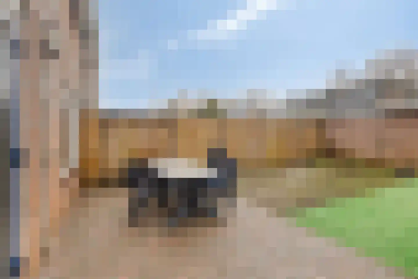 De Mark 6 Goirle thumbnail 25