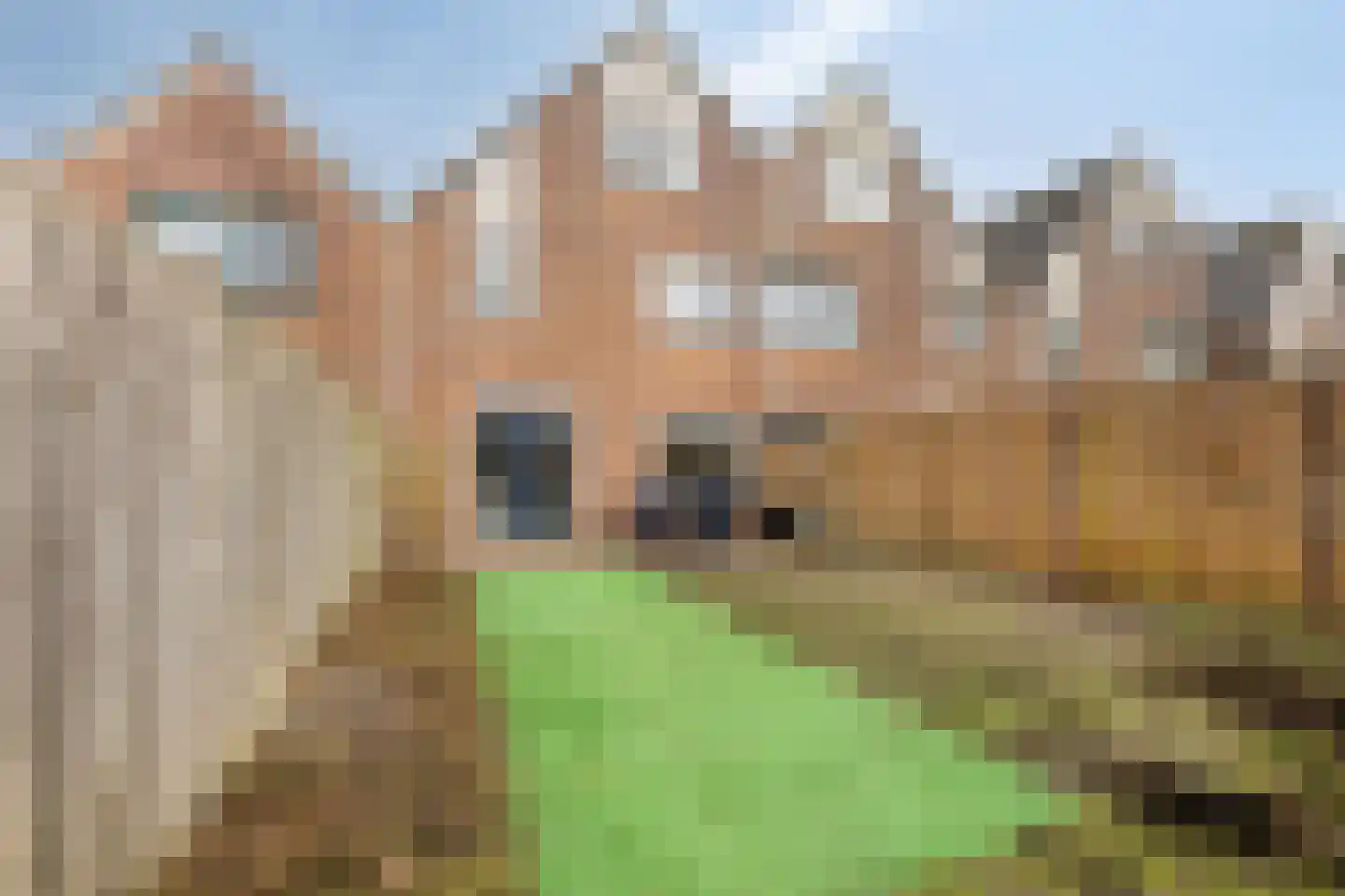 De Mark 6 Goirle thumbnail 26