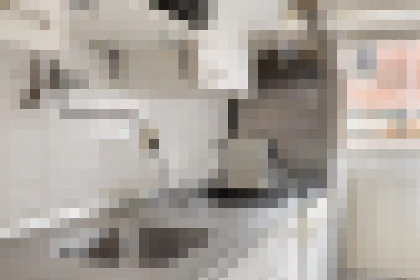 De Mark 6 Goirle thumbnail 8