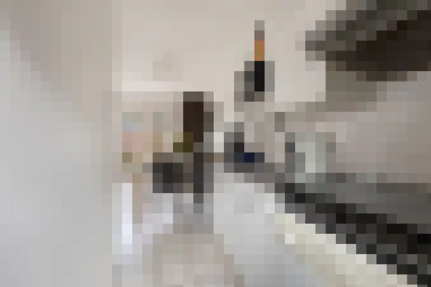 De Mark 6 Goirle thumbnail 9