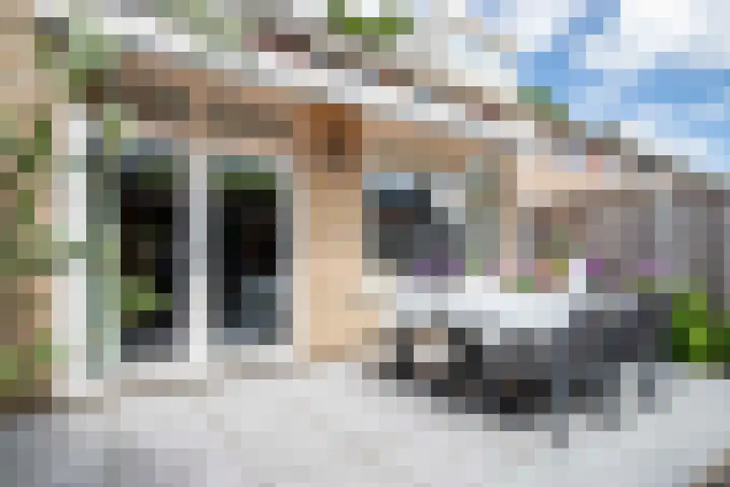 De Marke 10 Hasselt thumbnail 30