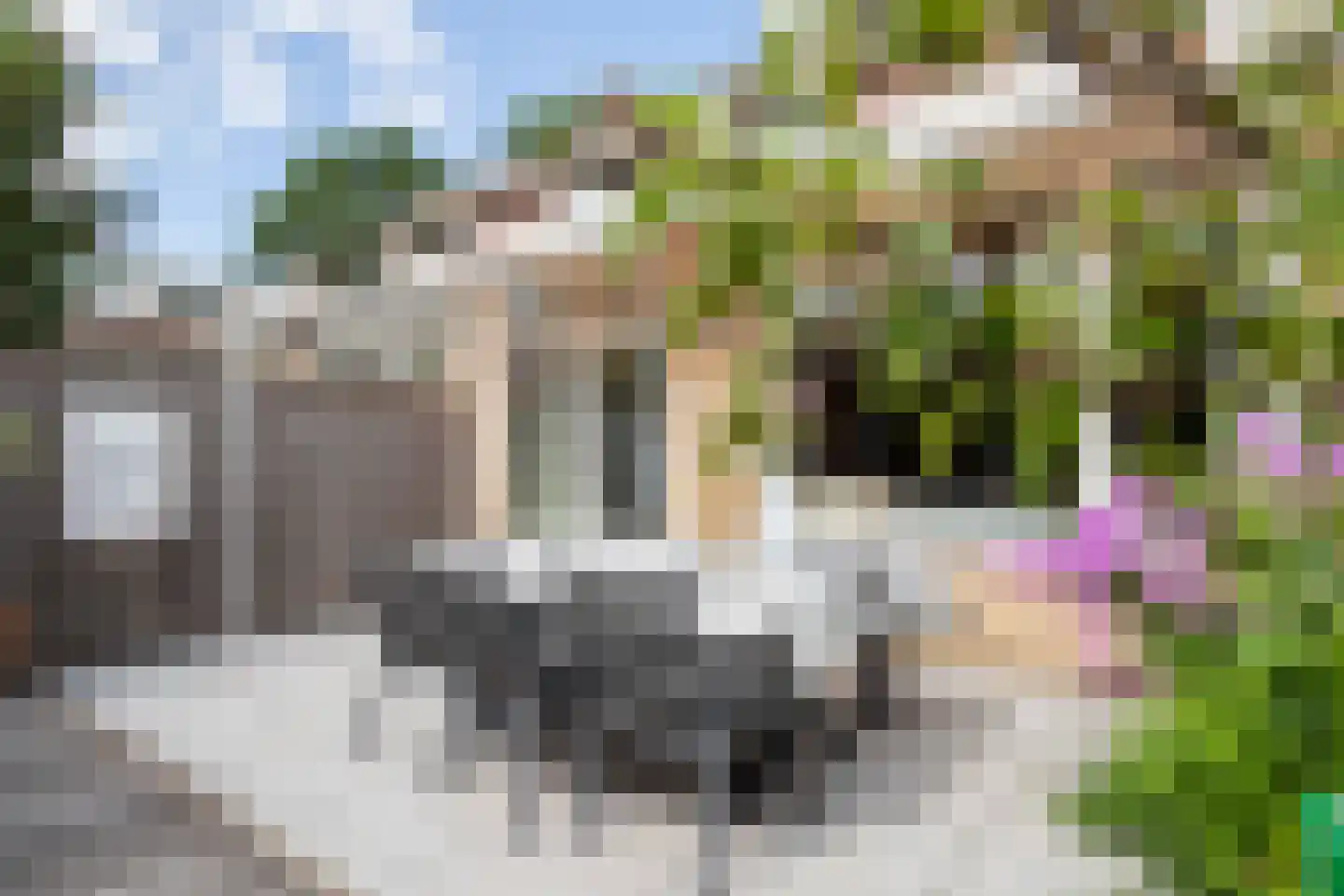 De Marke 10 Hasselt thumbnail 33