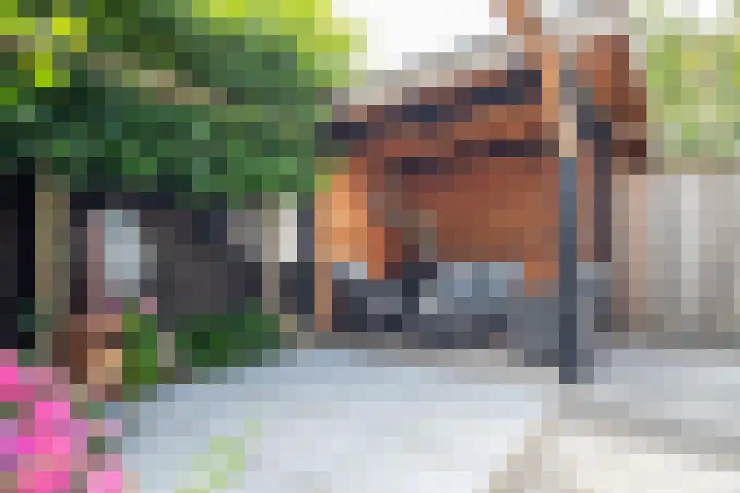 De Marke 10 Hasselt thumbnail 34
