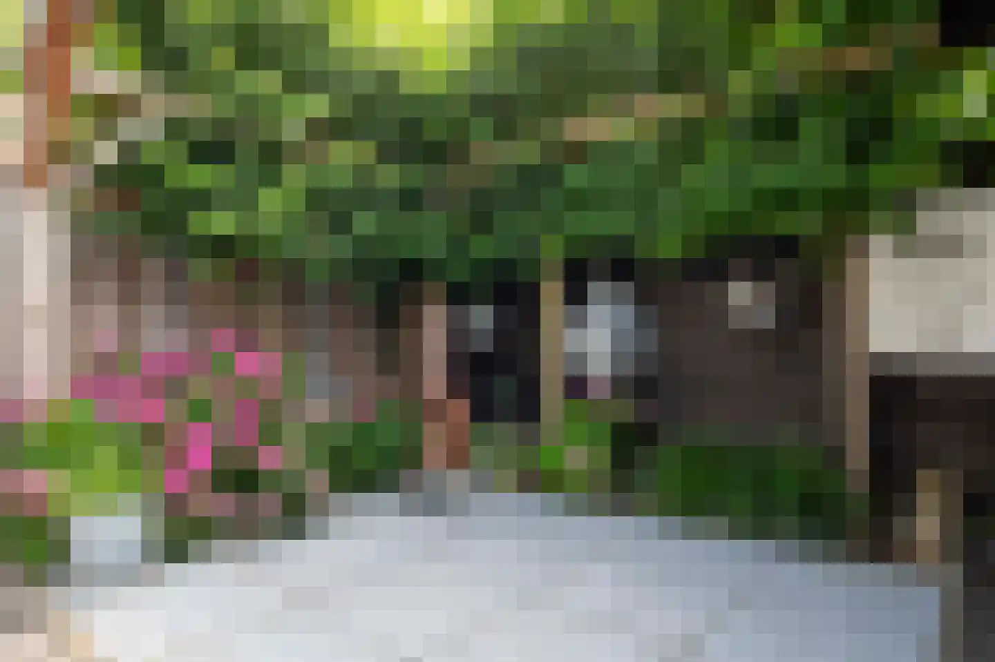 De Marke 10 Hasselt thumbnail 35