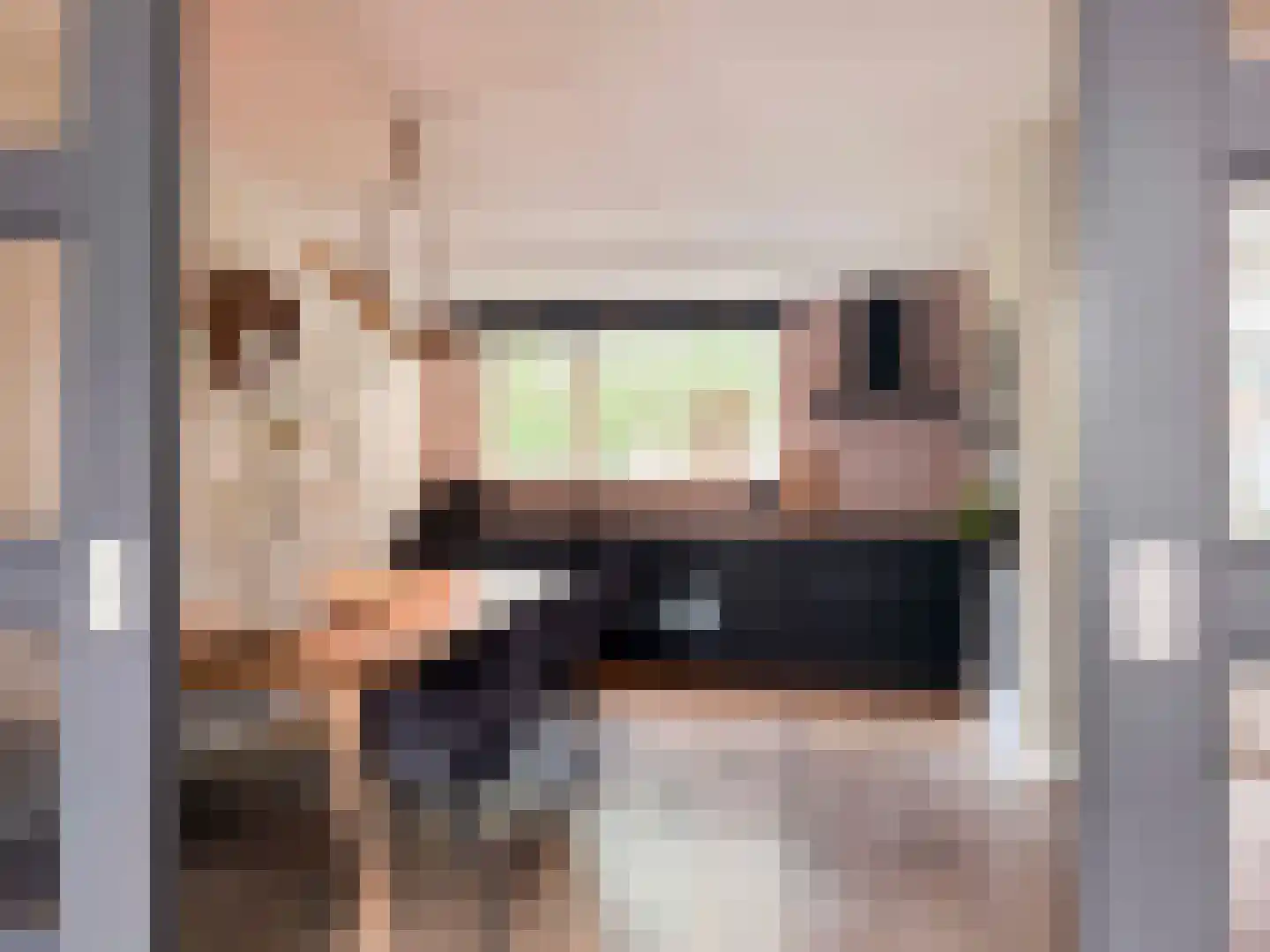 De Marke 10 Hasselt thumbnail 4