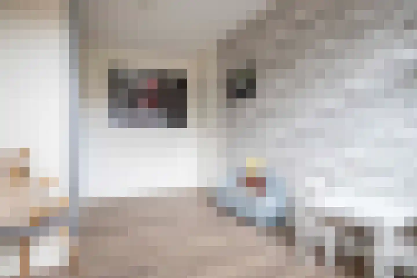 De Marke 10 Hasselt thumbnail 43