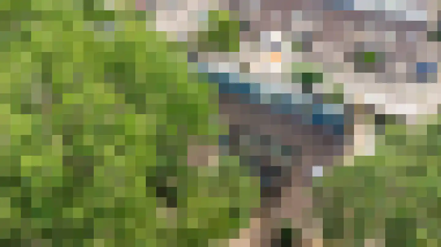 De Marke 10 Hasselt thumbnail 8