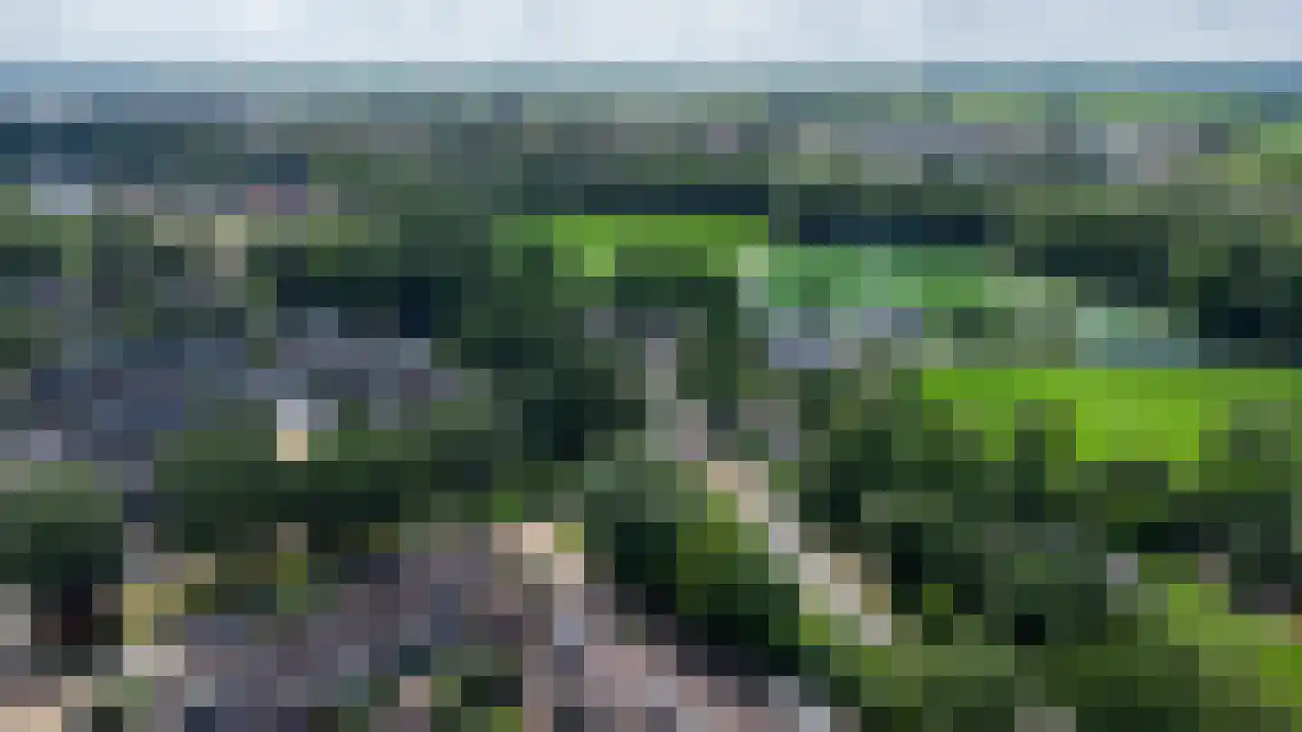 De Marke 10 Hasselt thumbnail 9