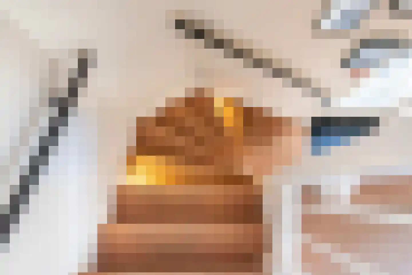De Marke 11 Dinxperlo thumbnail 27