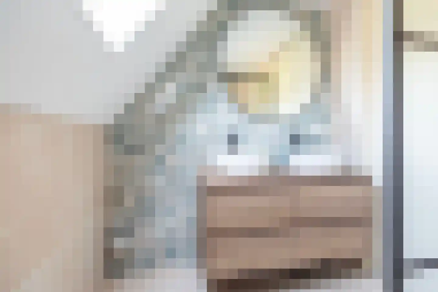 De Marke 11 Dinxperlo thumbnail 36
