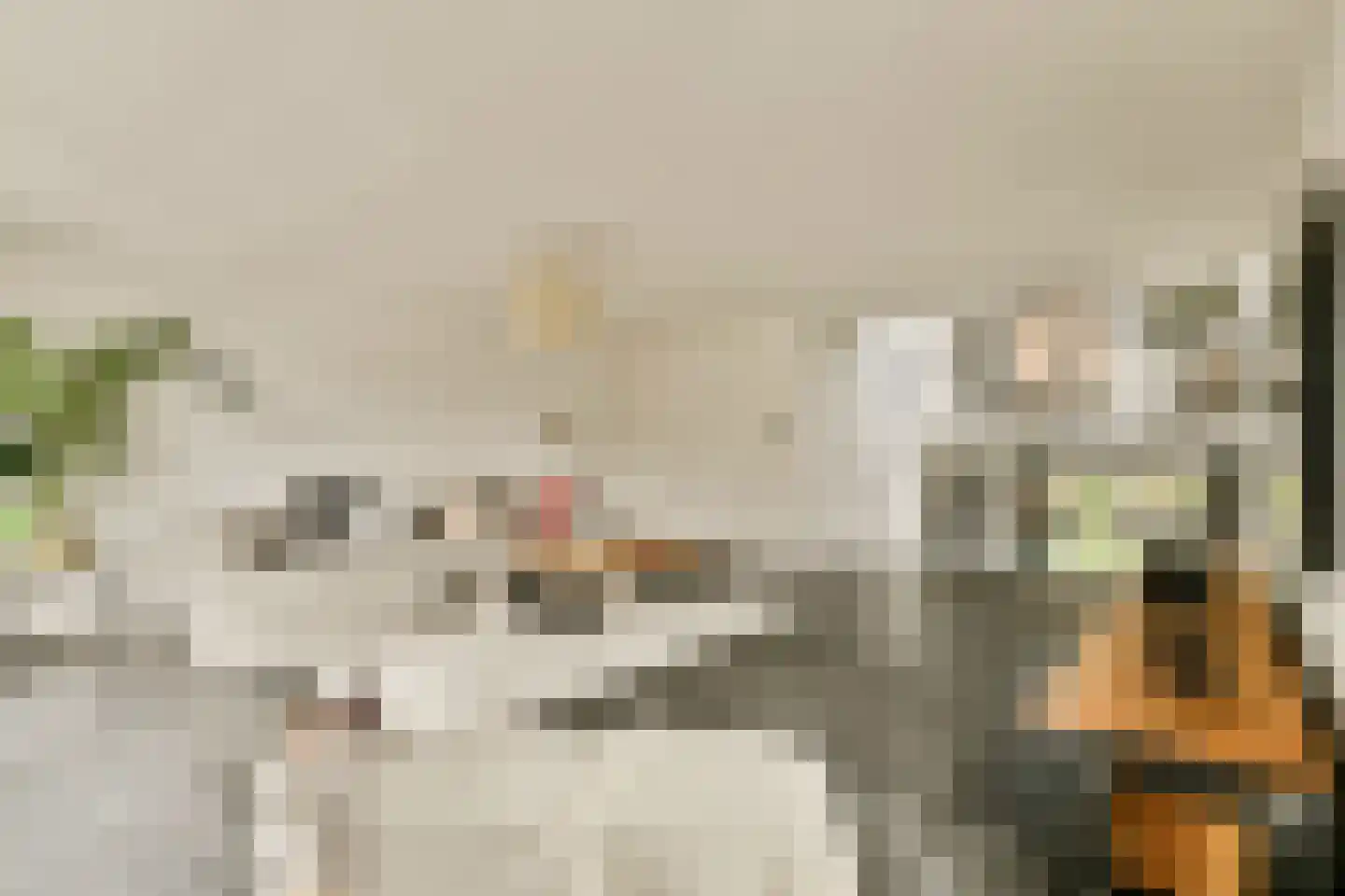 De Marke 12 Amersfoort thumbnail 23
