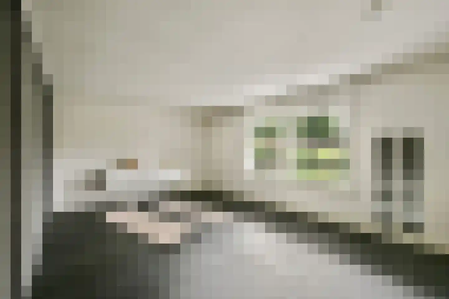 De Marke 12 Amersfoort thumbnail 28