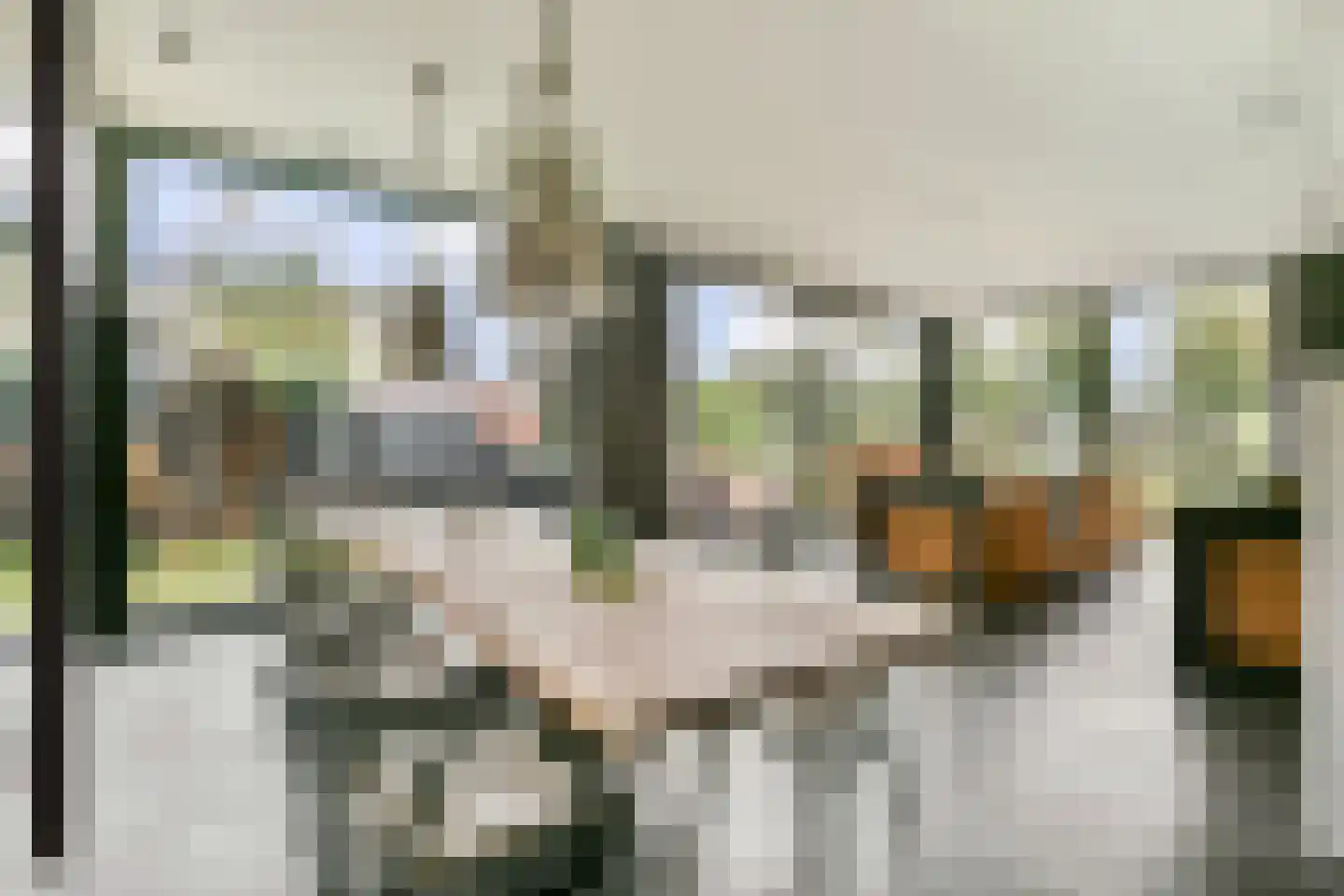 De Marke 12 Amersfoort thumbnail 6