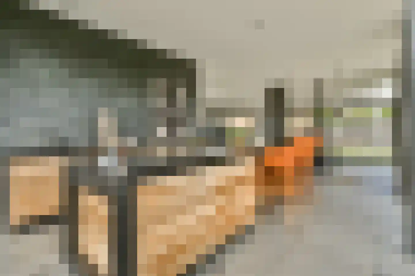 De Marke 12 Amersfoort thumbnail 9