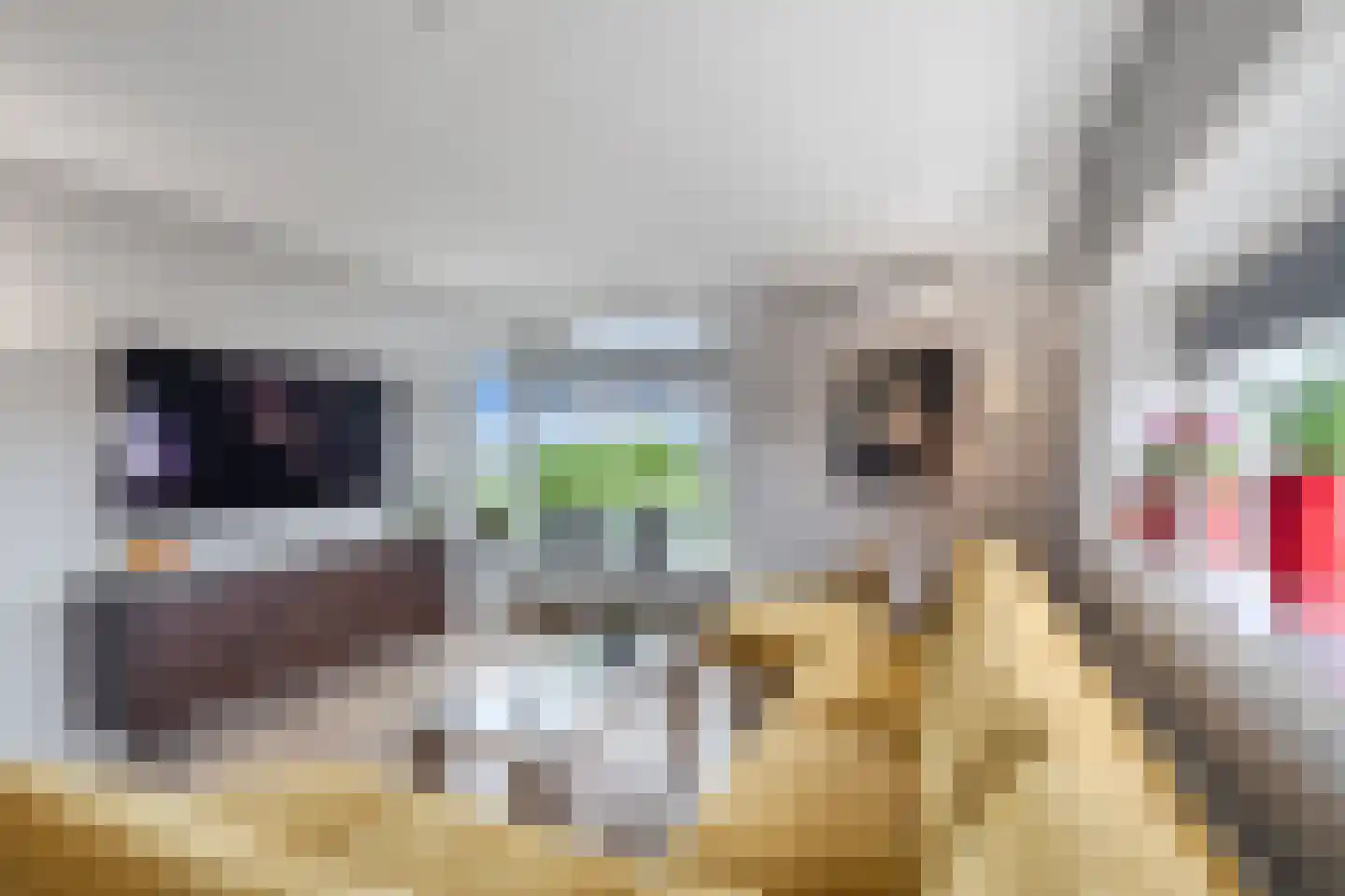 De Marke 170 Drachten thumbnail 17