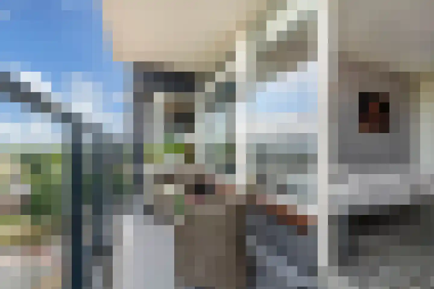 De Marke 170 Drachten thumbnail 34