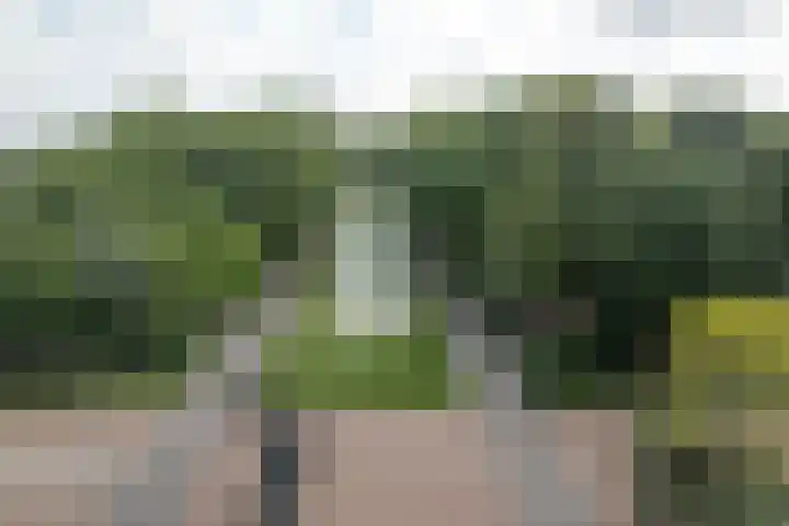 De Marke 182 Drachten thumbnail 10